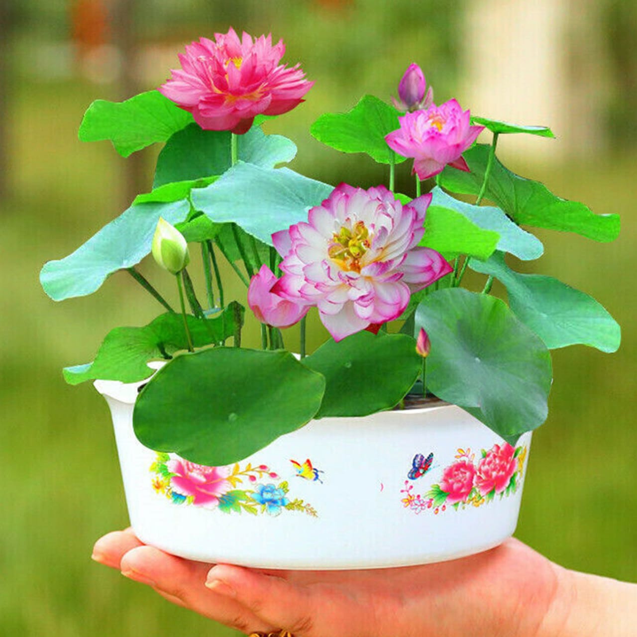 WhatsApp-Image-2025-07-06-at-01.55.28_30f60357.jpg