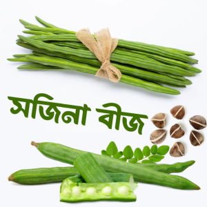 বারোমাসি ODC-3 উন্নতমানের সজিনা বীজ দ্রুত বৃদ্ধি • ভালো ফলন • চাষে সহজ ও লাভজনক ছাদ বাগান থেকে বাণিজ্যিক চাষ—সফল চাষের জন্য দারুণ পছন্দ।
