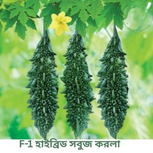 বারোমাসি উন্নতমানের করলা বীজ দ্রুত বৃদ্ধি • ভালো ফলন • সুস্বাদু ও সতেজ করলা **বাড়ির বাগান কিংবা বাণিজ্যিক চাষে—নির্ভরযোগ্য পছন্দ।