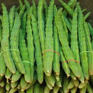২ প্যাকেট ODC -3 সজিনা ৪৪৯ টাকা