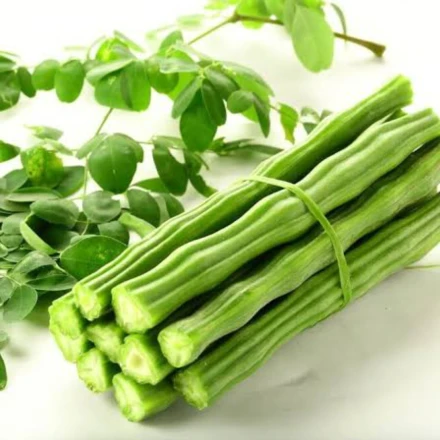 696242374ODC-3-Sojina-Seeds.webp